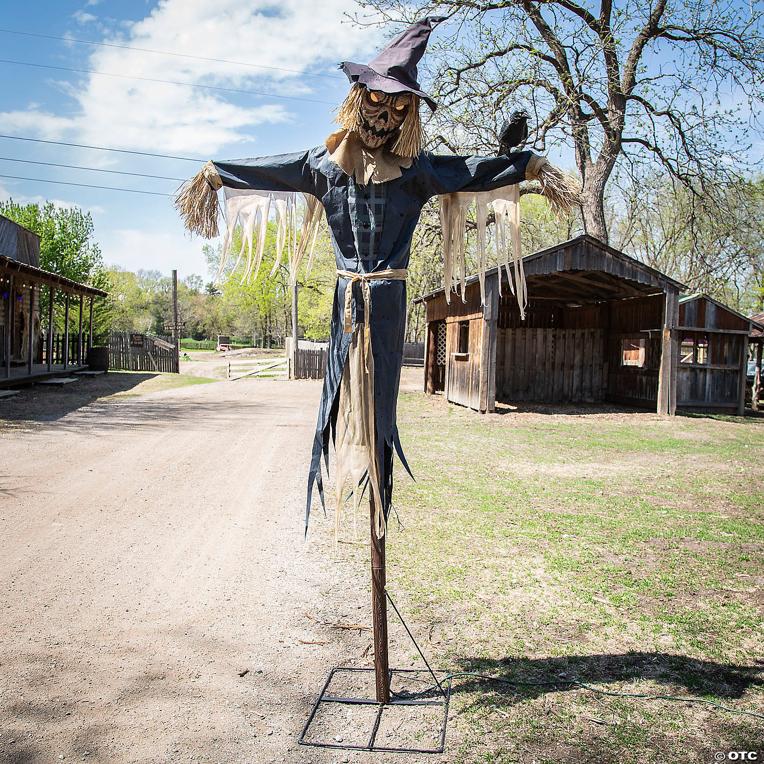 scarecrow in a field